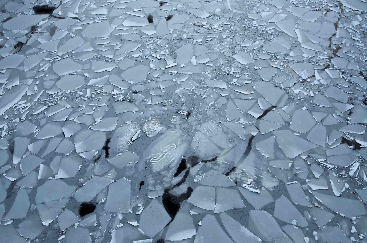 楼面漏水修补方法（楼面漏水怎么办）